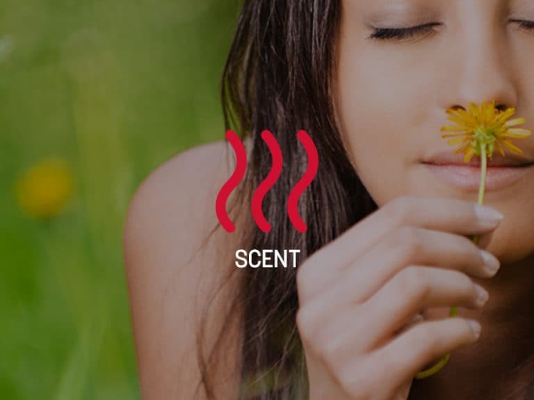Wake Up and Smell The Marketing