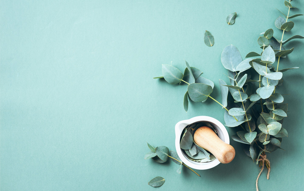 Custom Scent | Franchise | Mood Media